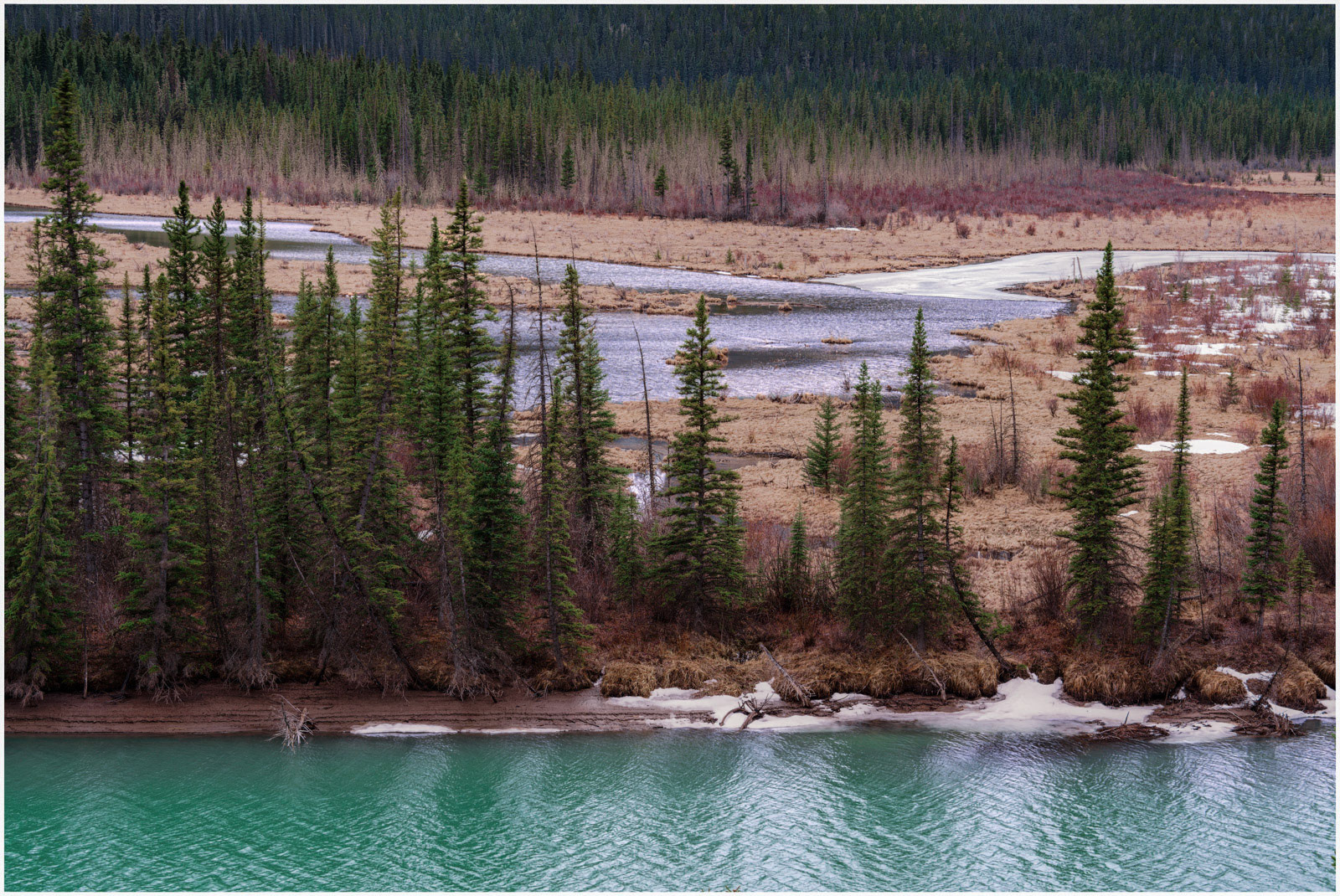 Blushing Valleys - Bow Valley, Alberta