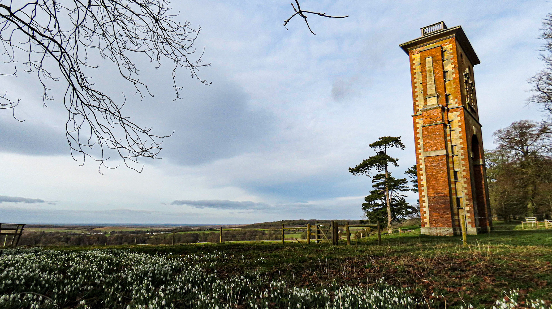 Londonthorpe Woods, Lincolnshire
