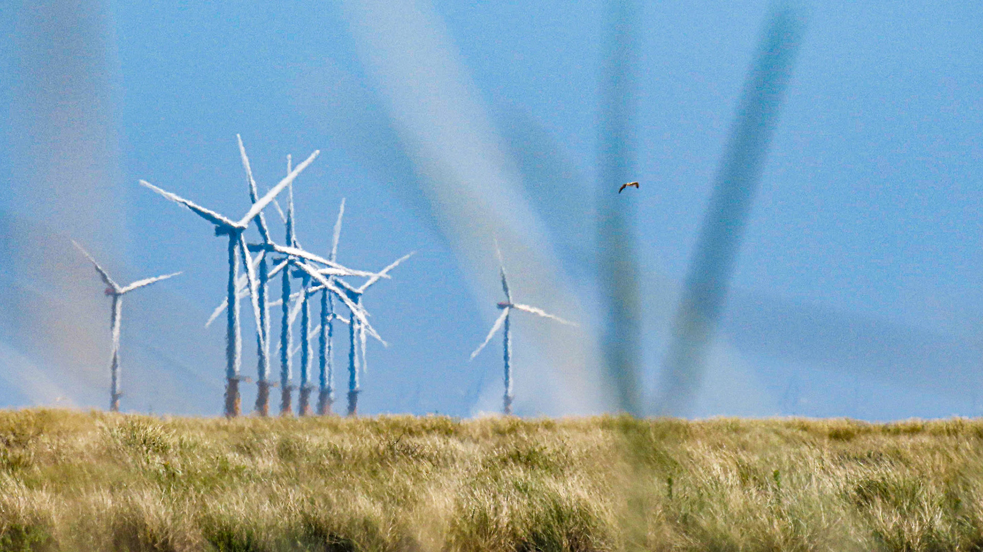 Lincs Offshore Wind Farm, near coast of Gibralter Point