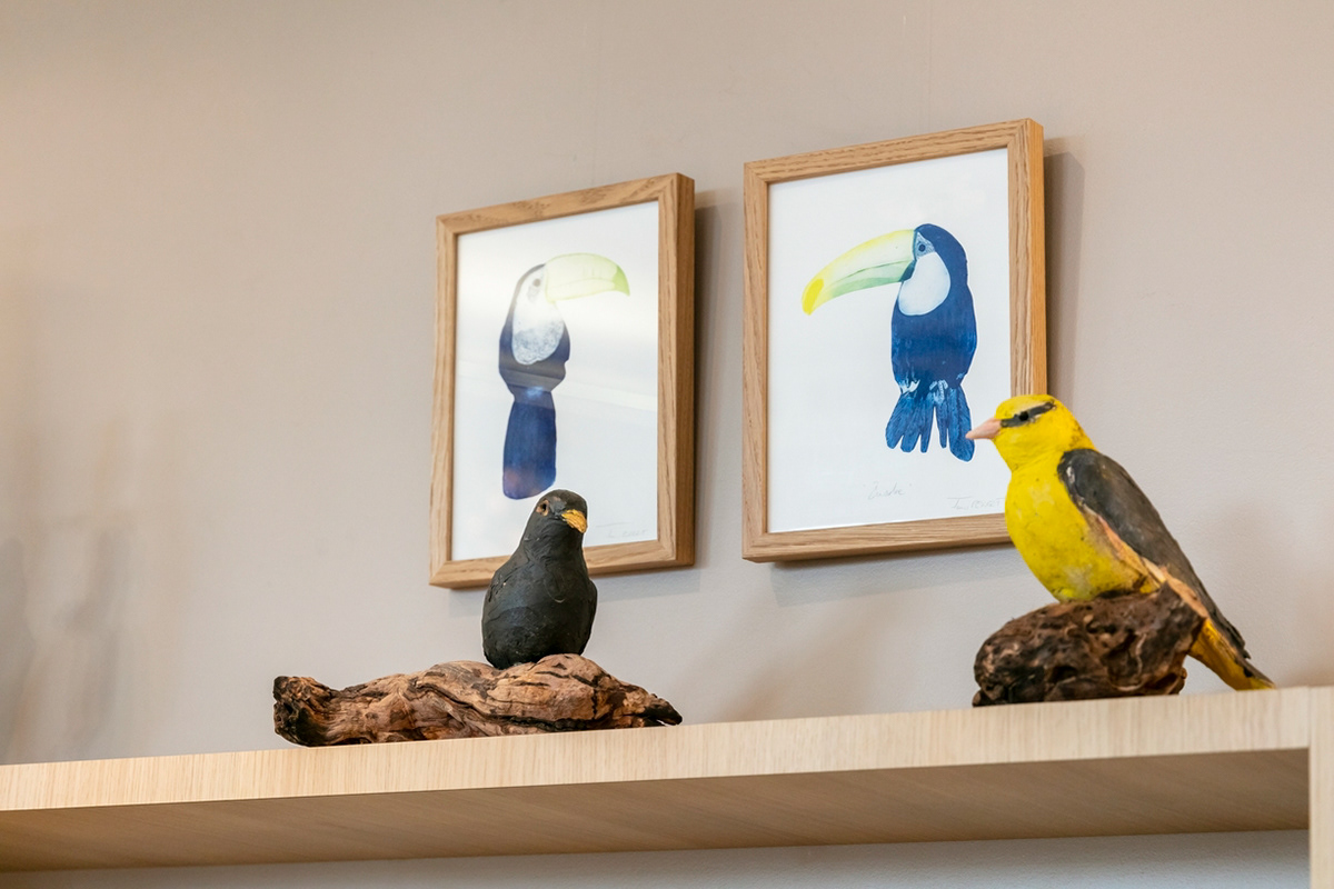 Gravure toucan MM 50€ - Merle sur cep de vigne 190€ - Loriot d'Europe sur cep de vigne 220€
