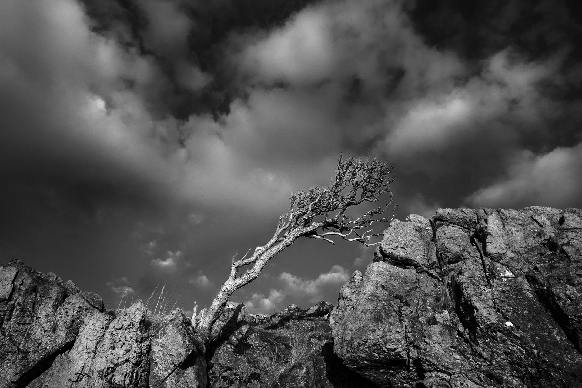 Harborough rocks, Derbyshire