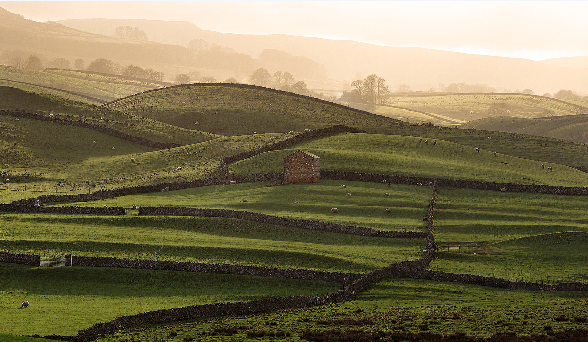 The folds of Wensleydale at dusk