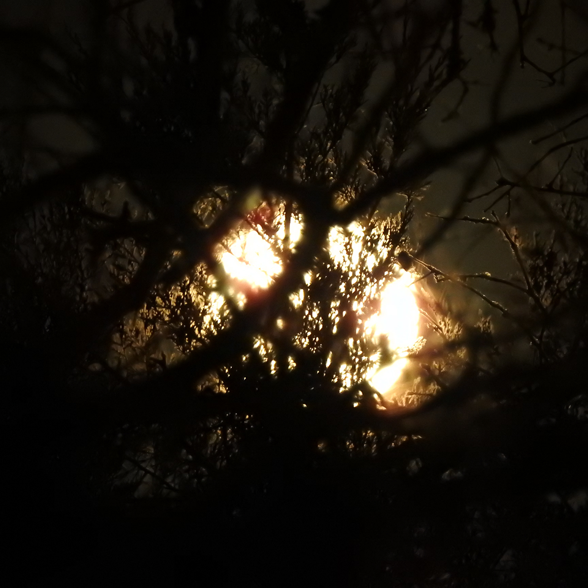 Click here to see more images