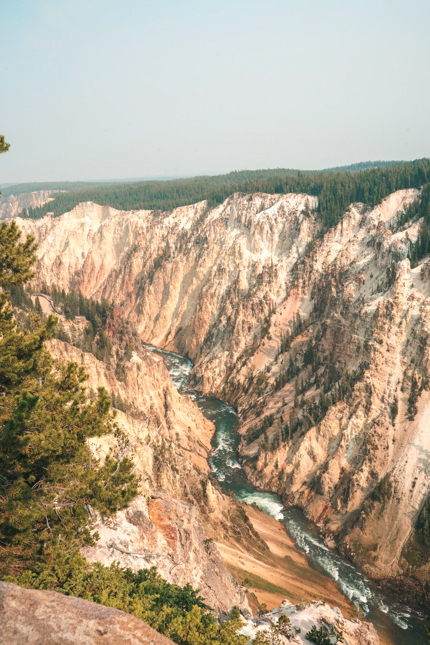 Yellowstone NP
