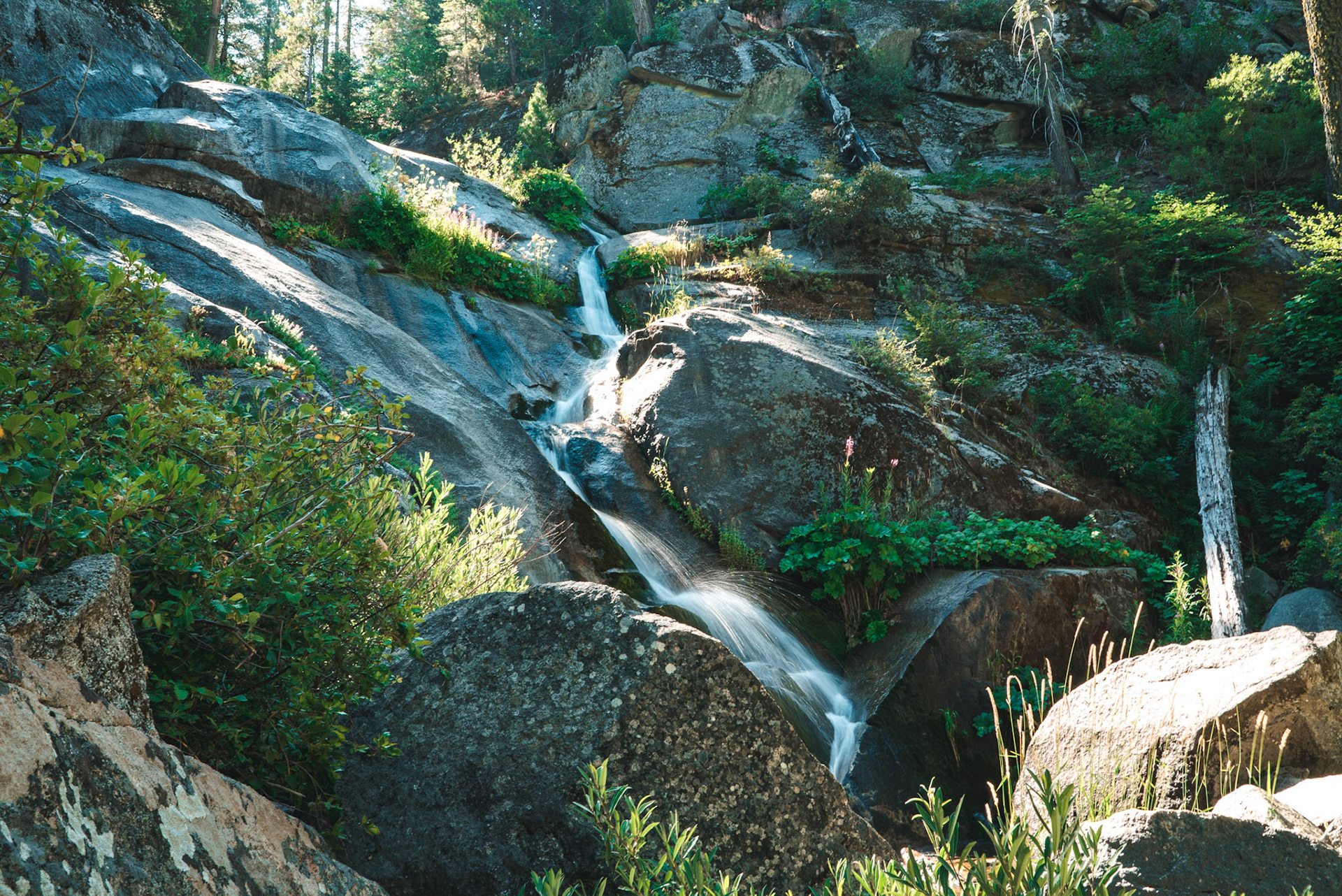 Kings Canyon NP