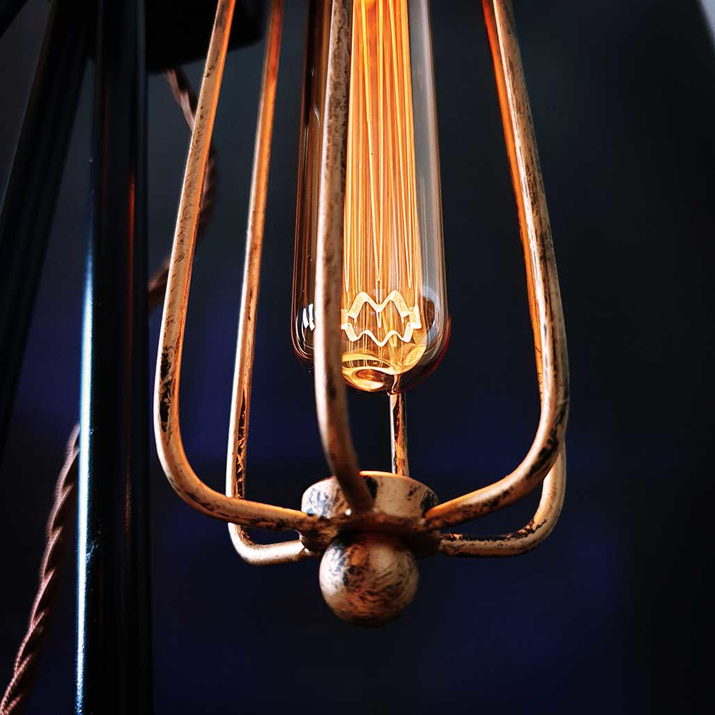 Antique style bulb cage with vintage Edison long tube bulb