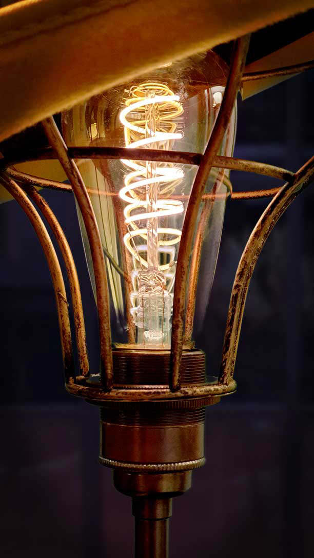 Vintage Edison bulb