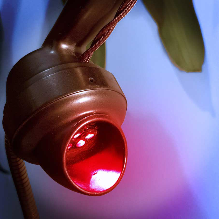 A mysterious red glow emits from the vintage curved mouthpiece