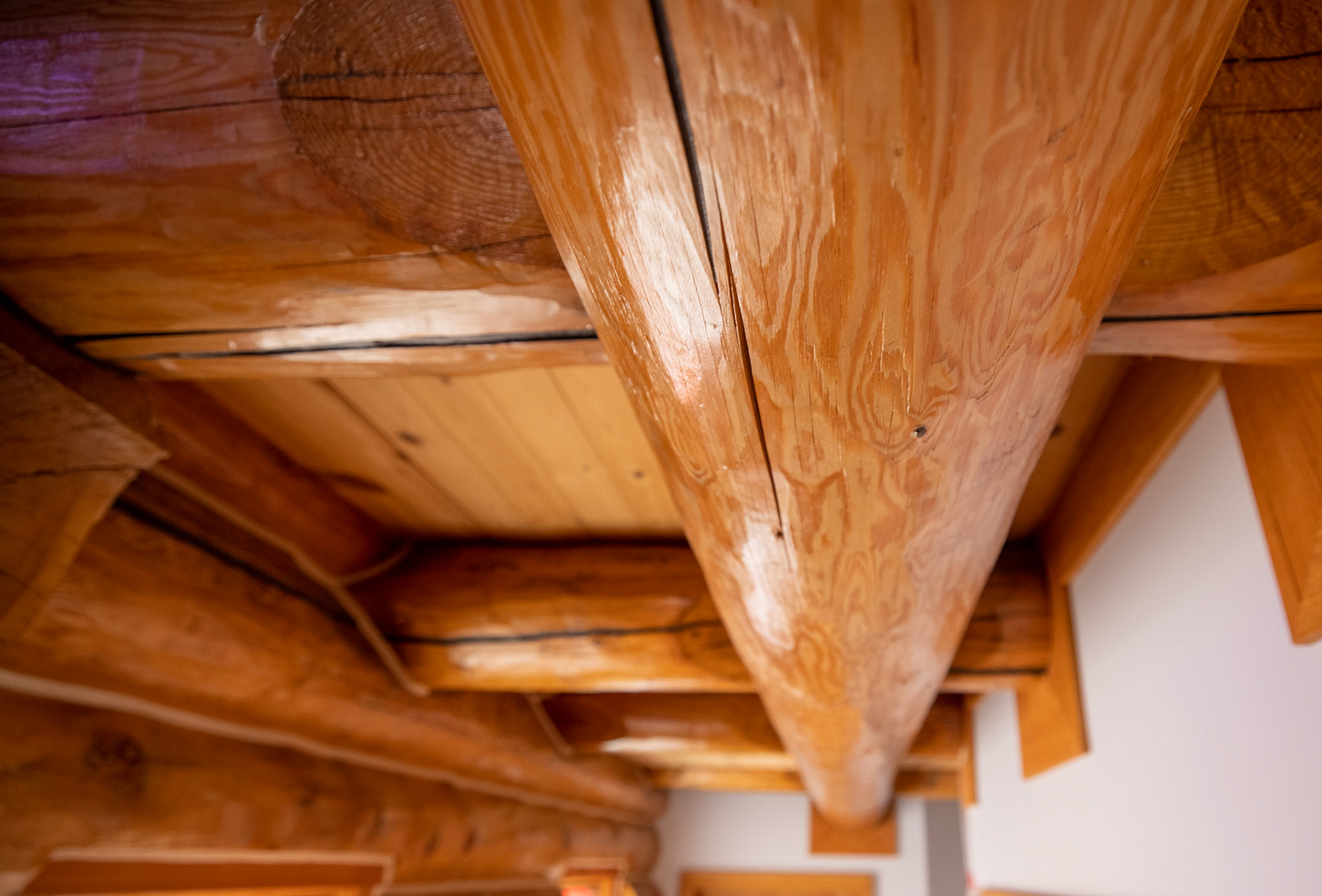 interior cabin finish