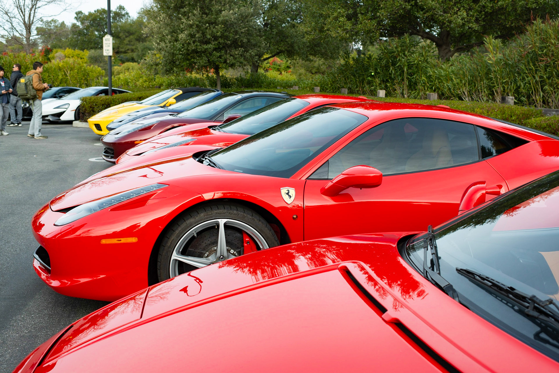Ferraris