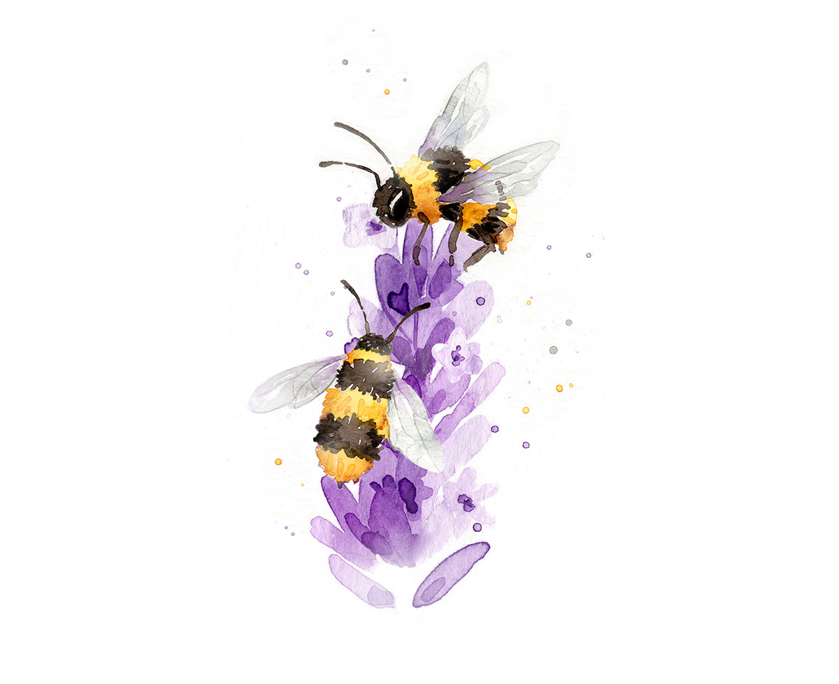 Julia Back - Bees and Lavender Watercolors