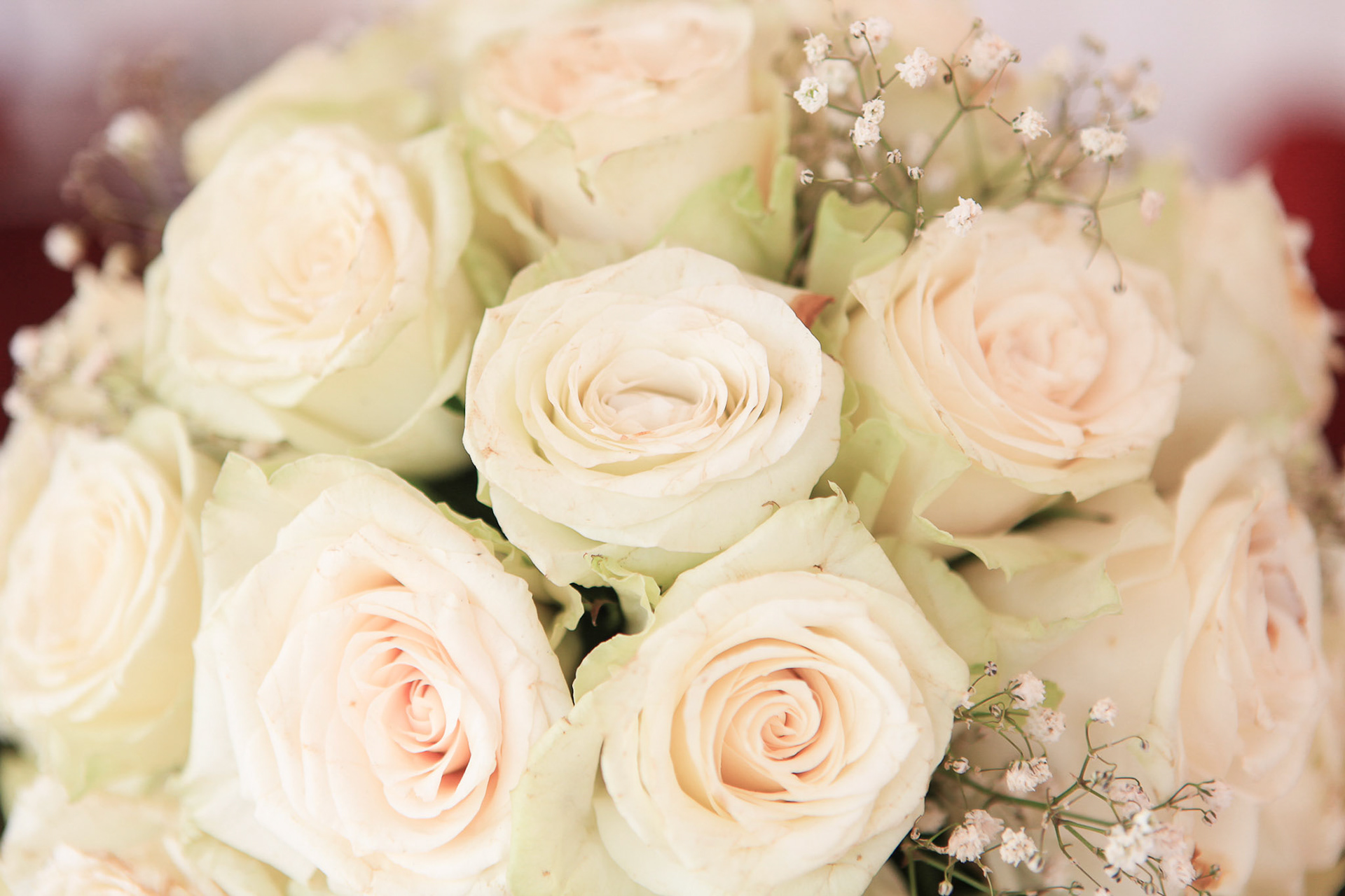 Mariama and Ibrahim's Introduction