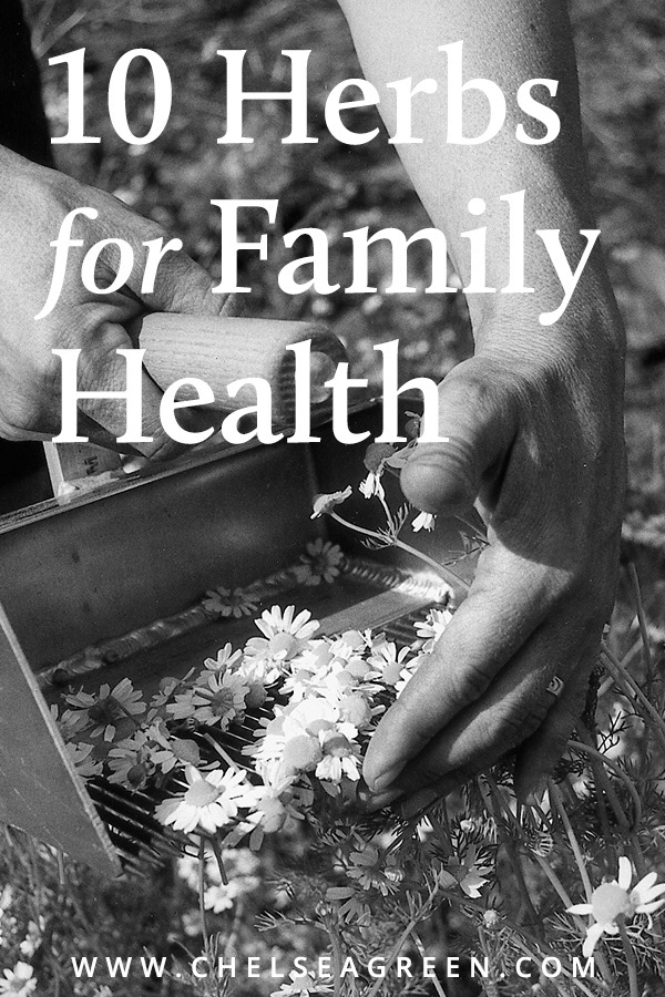Pinterest - 10 Herbs for Family Health (Chelsea Green Publishing)