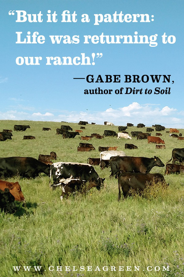 Pinterest Book Quote "Dirt to Soil" (Chelsea Green Publishing)
