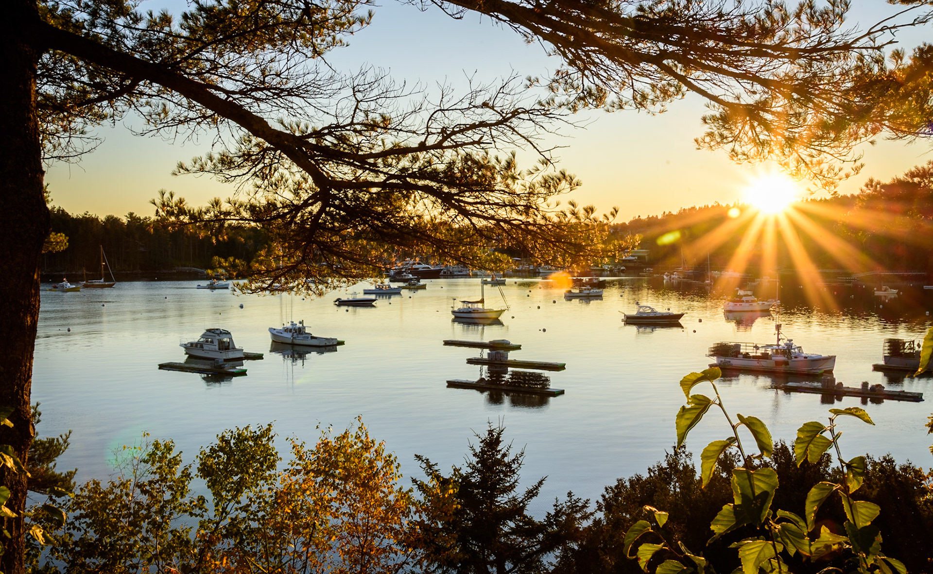 Acadia National Park