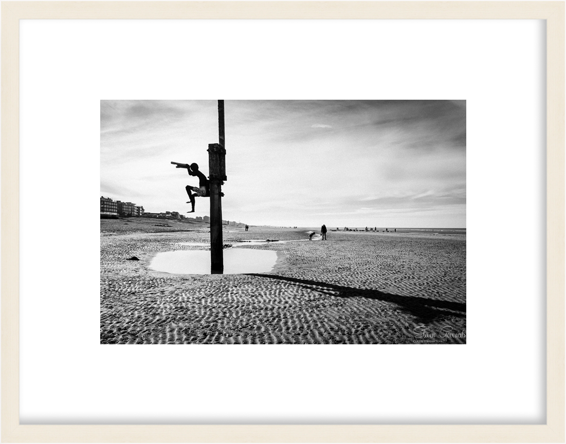 CostaBelgica_LE001_maple
