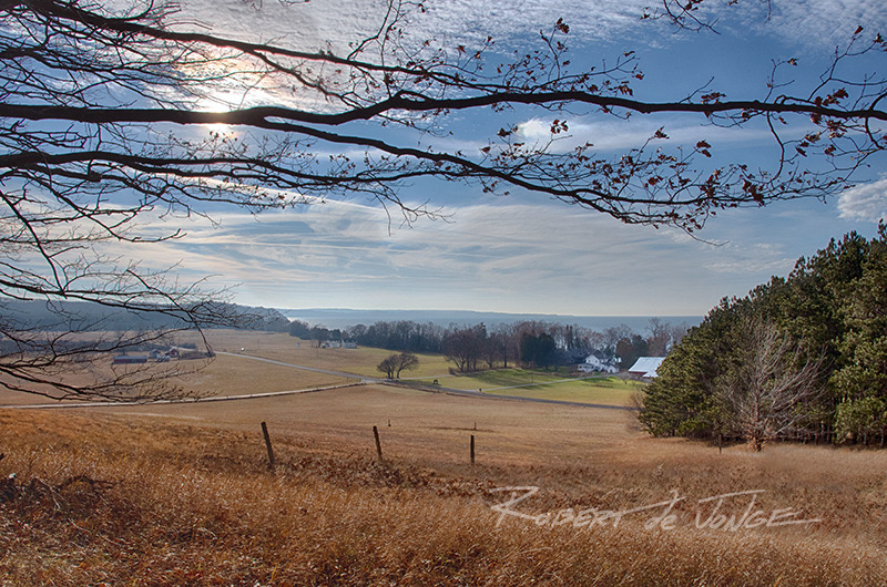 On a bluff in Port Oneida overlooking Sleeping Bear Bay into the sun