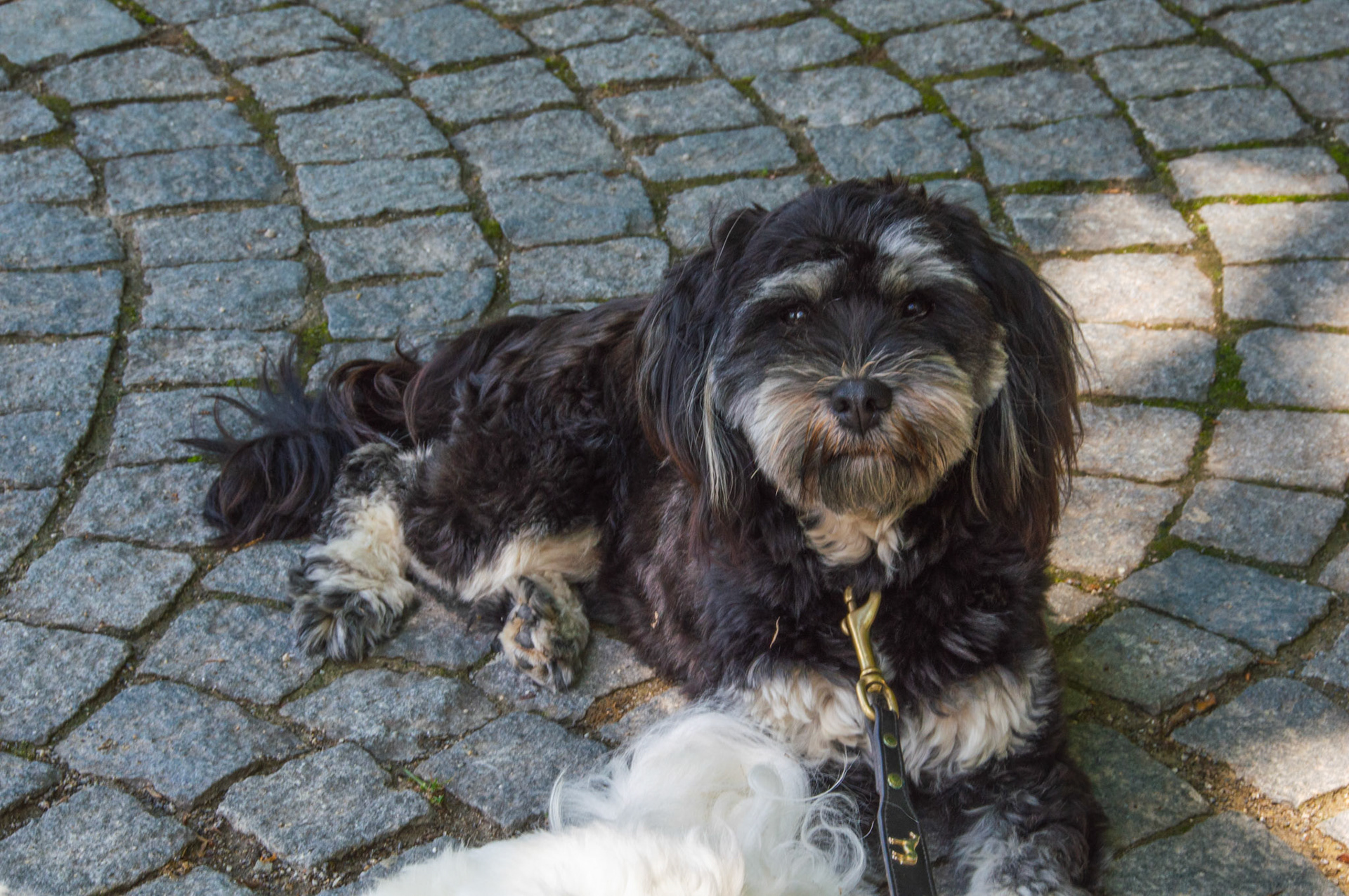 Maja auf der Insel Mainau