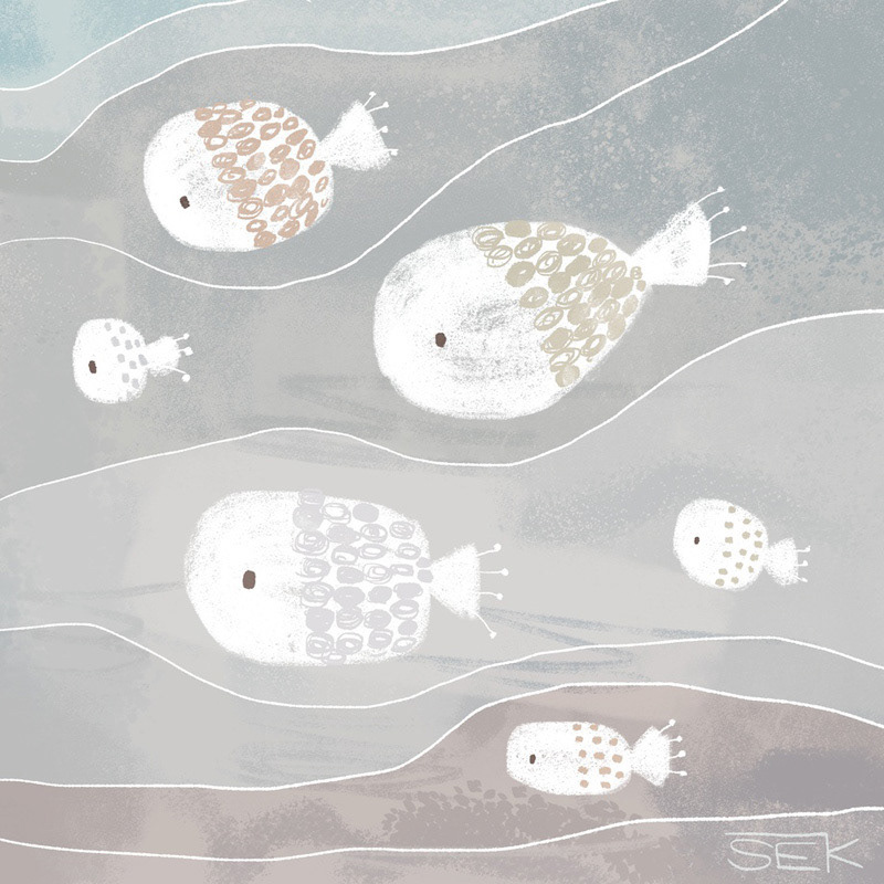 Gray Fish