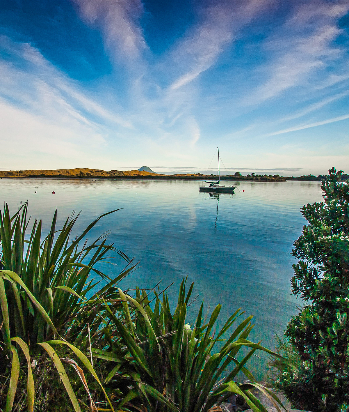 John Thompson - Whakatane North Island Nz