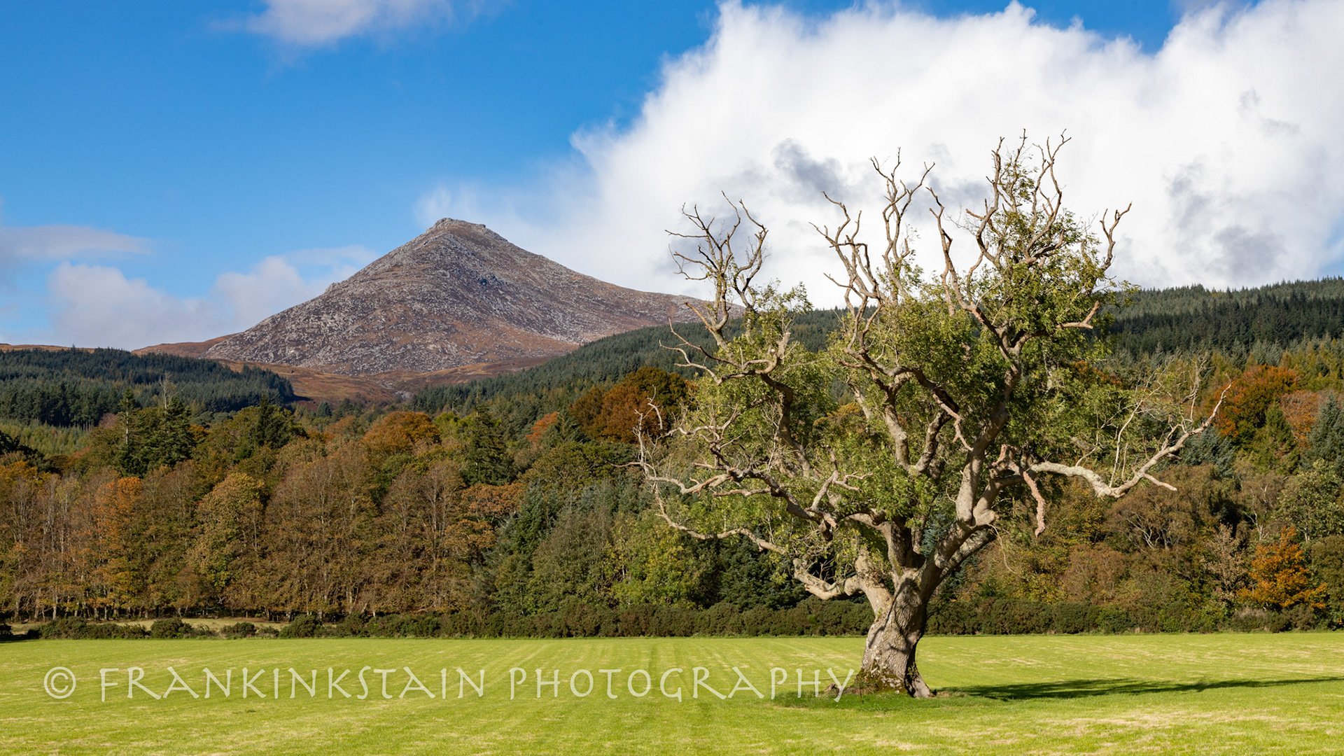 Goatfell