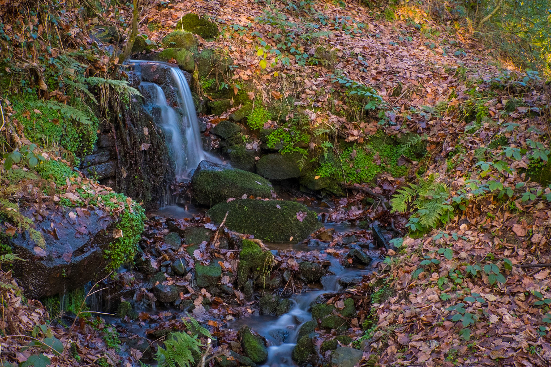 River and woodland waterfall, Rivington, Lancashire