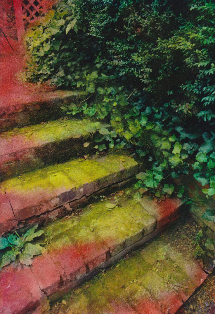 "Whimsical Steps"