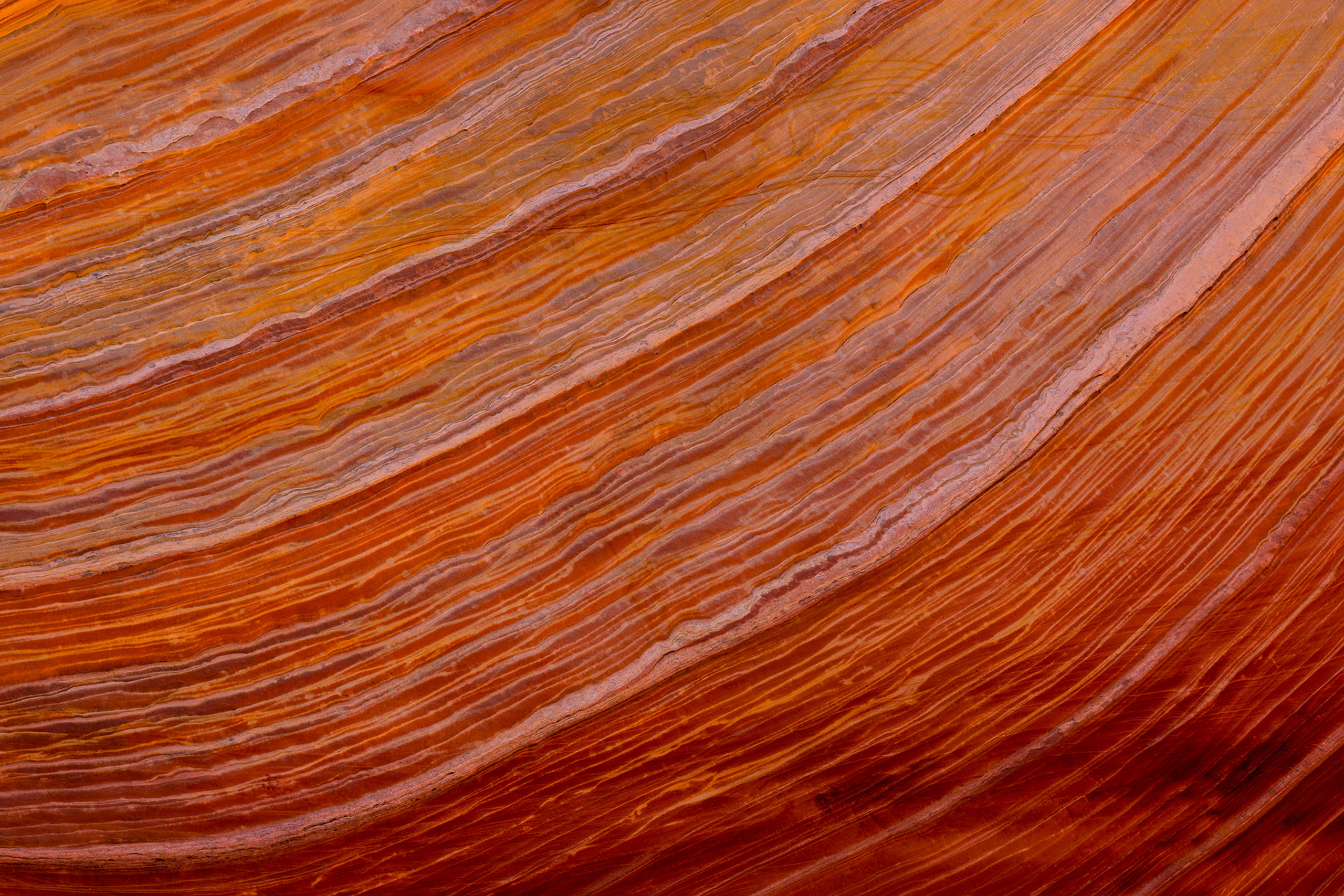 THE WAVE - ARIZONA - USA