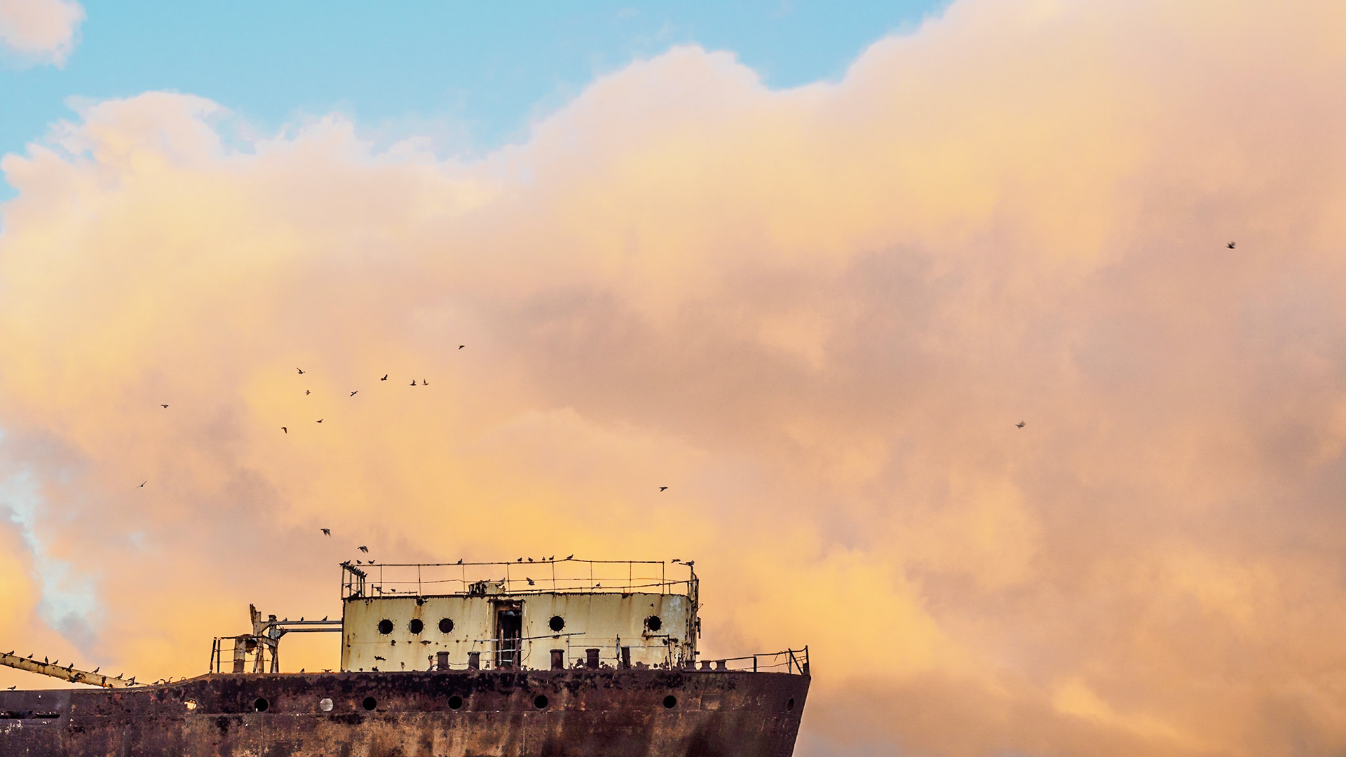 Vögel über dem Schiffswrack der Telamon