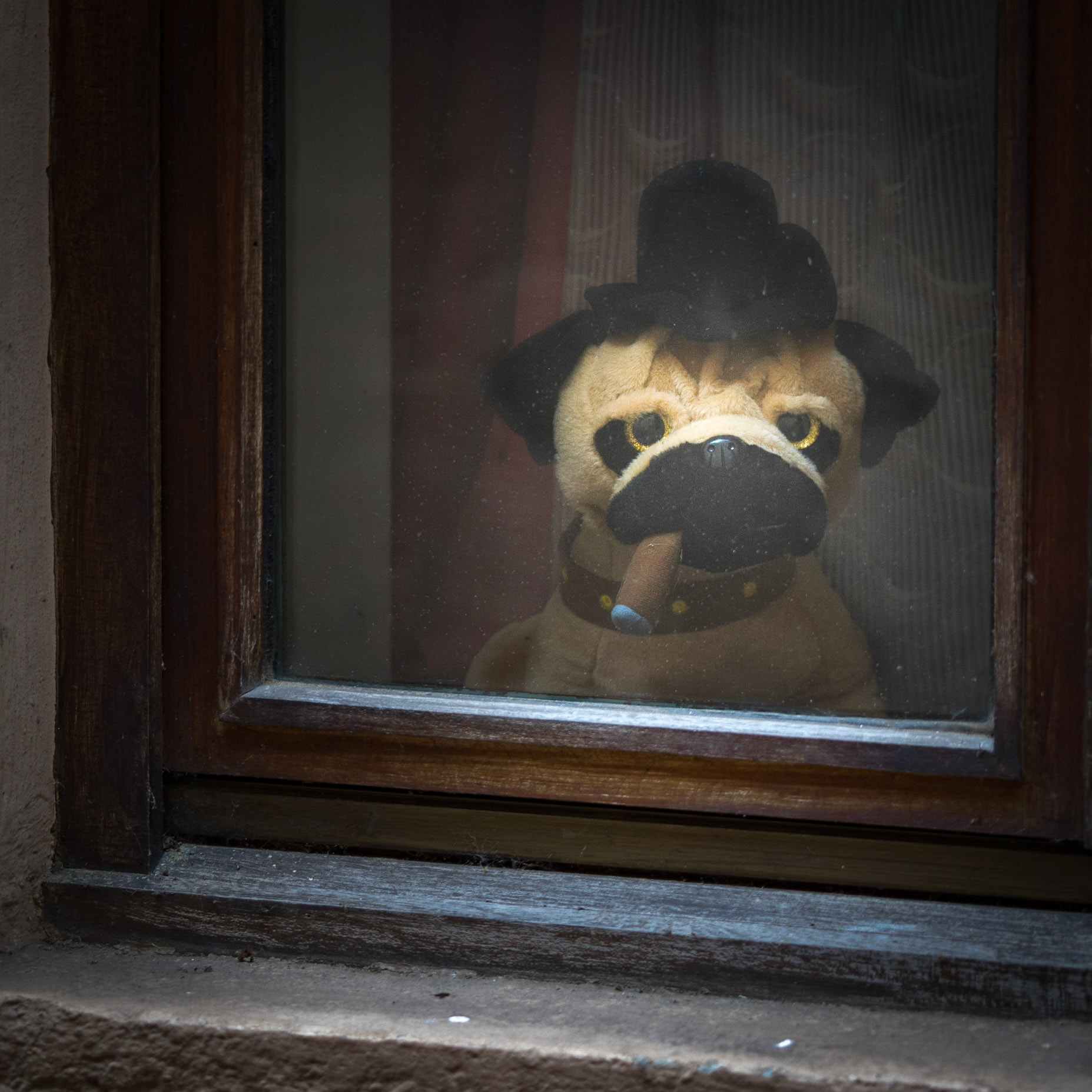 Sierck-les-Bains - Hausbewohner