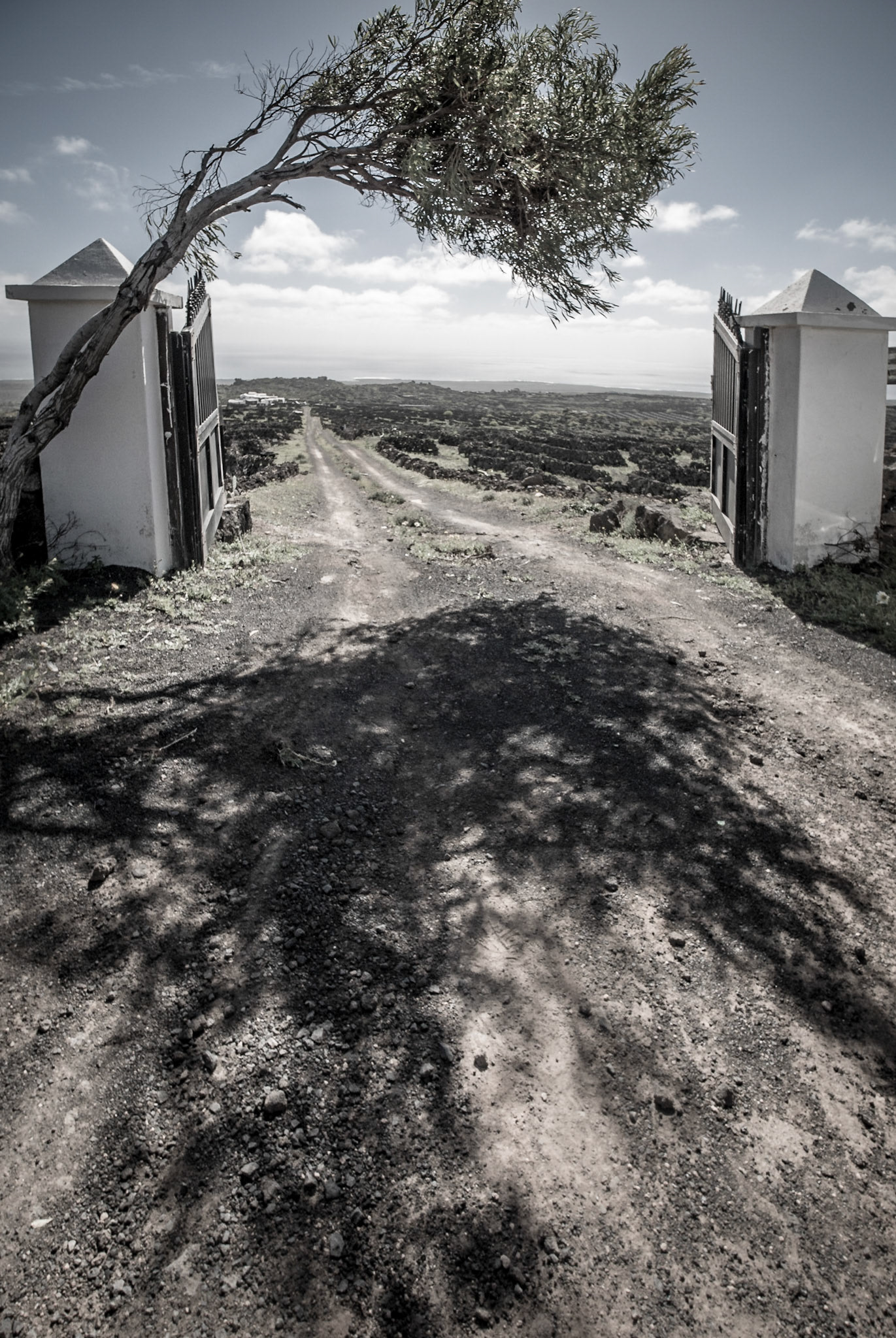 Tor zu einem Grundstück im Nirgendwo auf Lanzarote