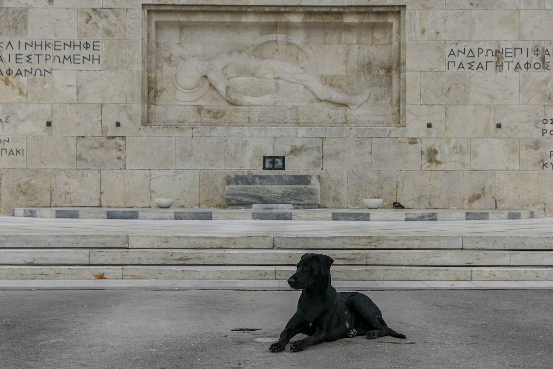Hund am Soldatenmahnmal in Athen