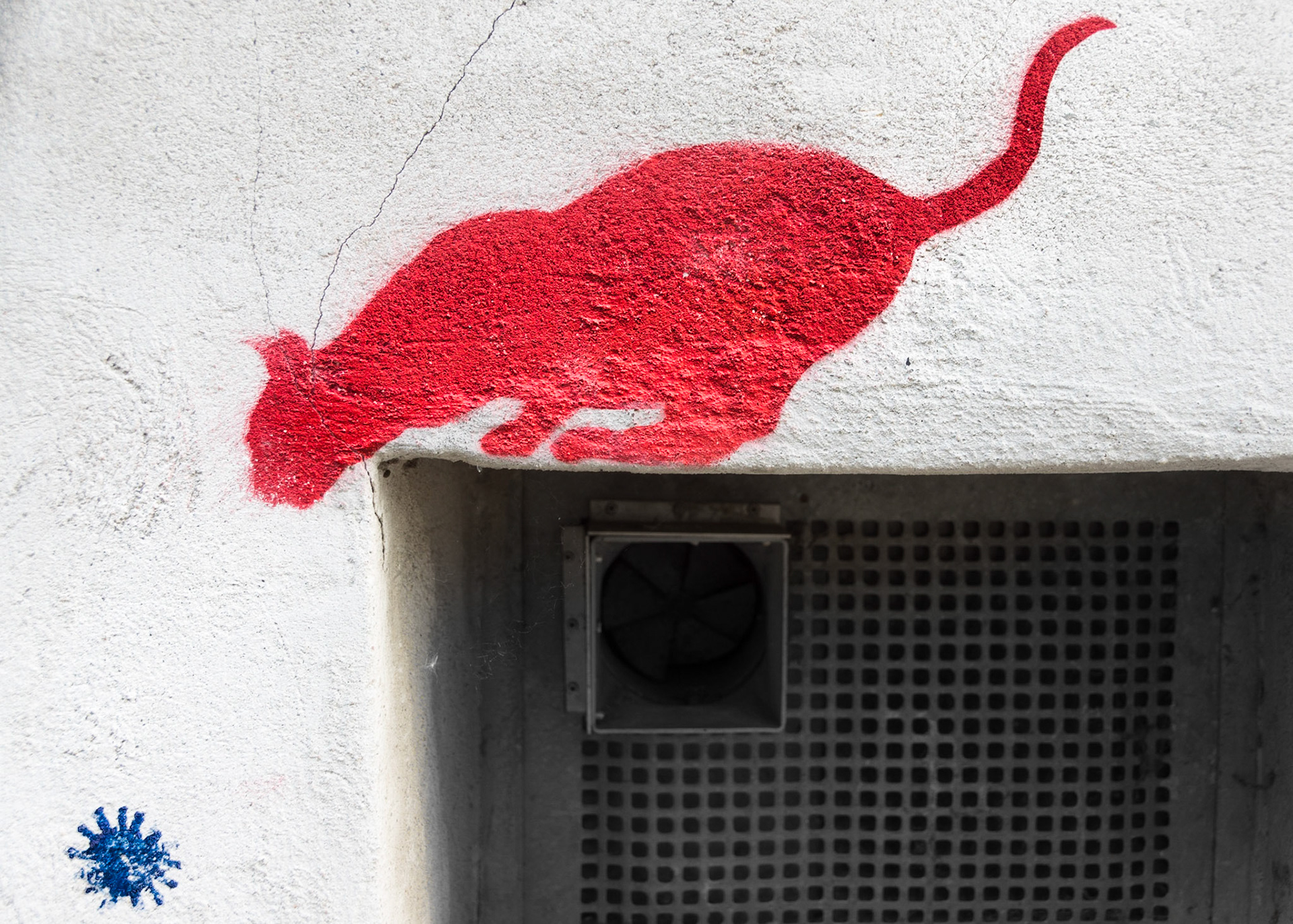 Katzenspiel - Marburg