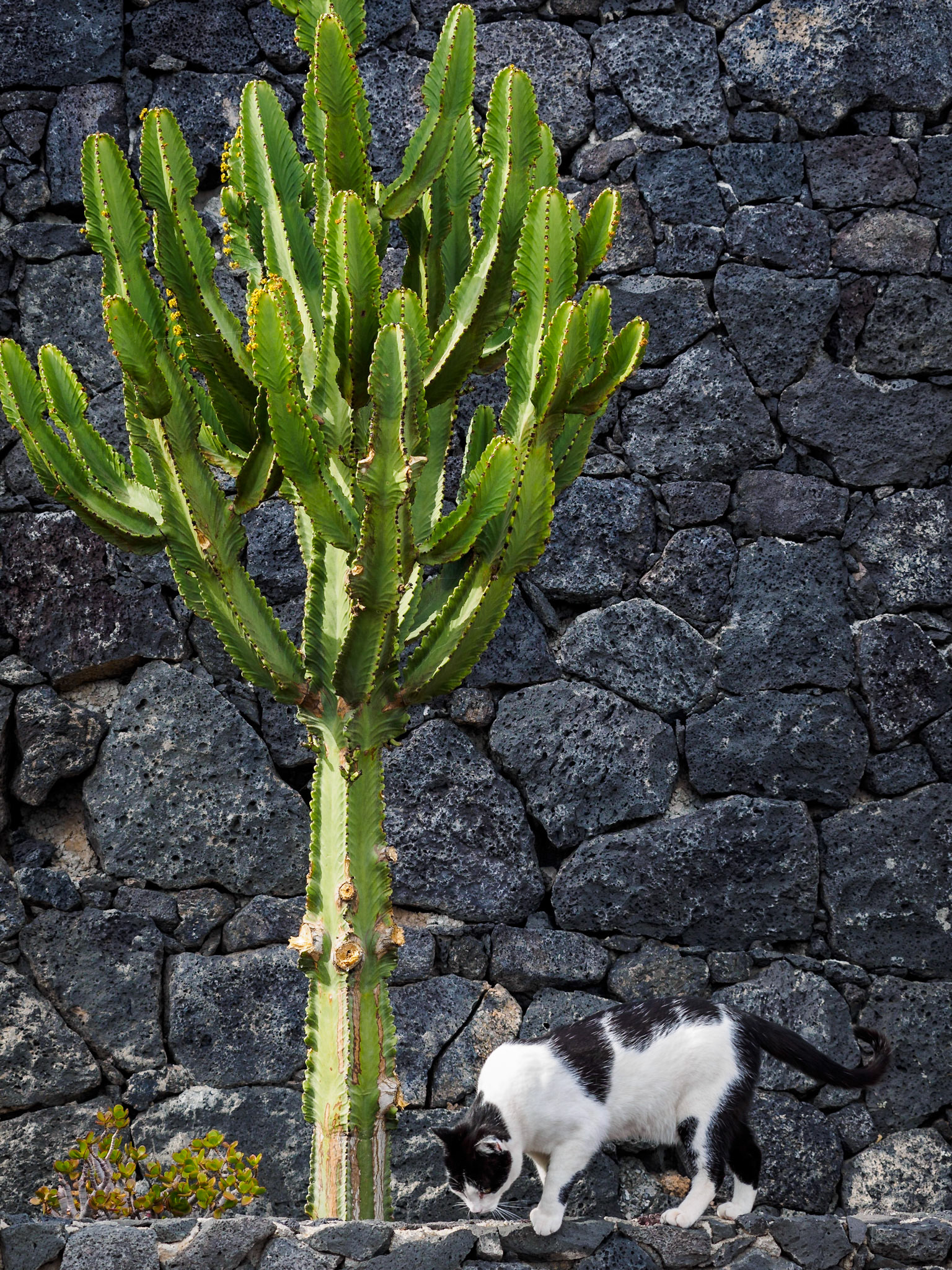 Da geh ich doch lieber runter statt dran vorbei