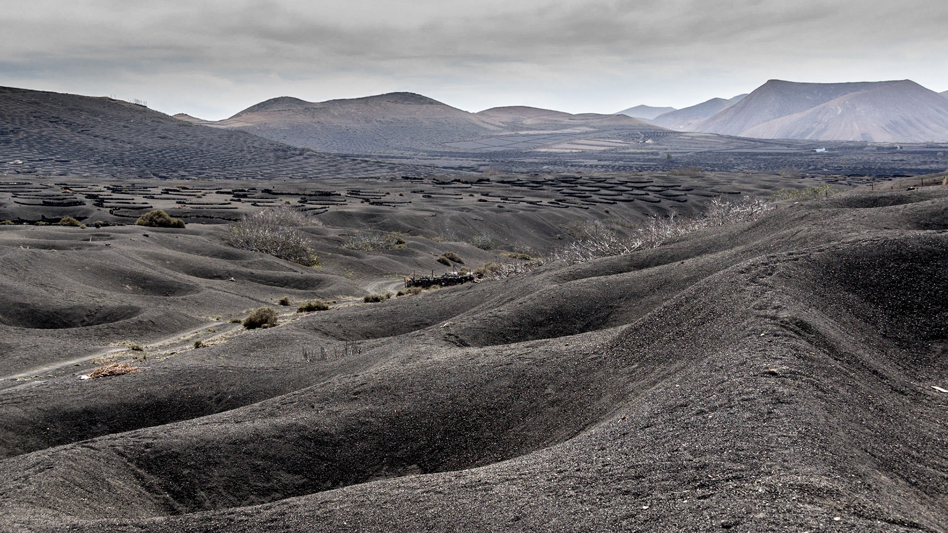 Blick über La Geria auf Lanzarote