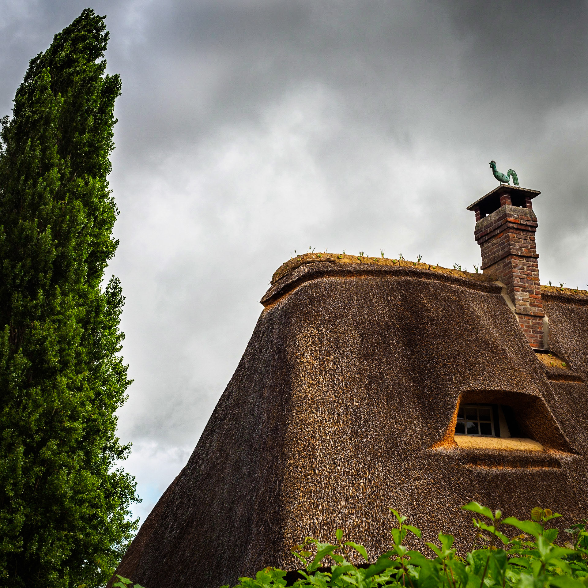 Reetdach in Viex-Port