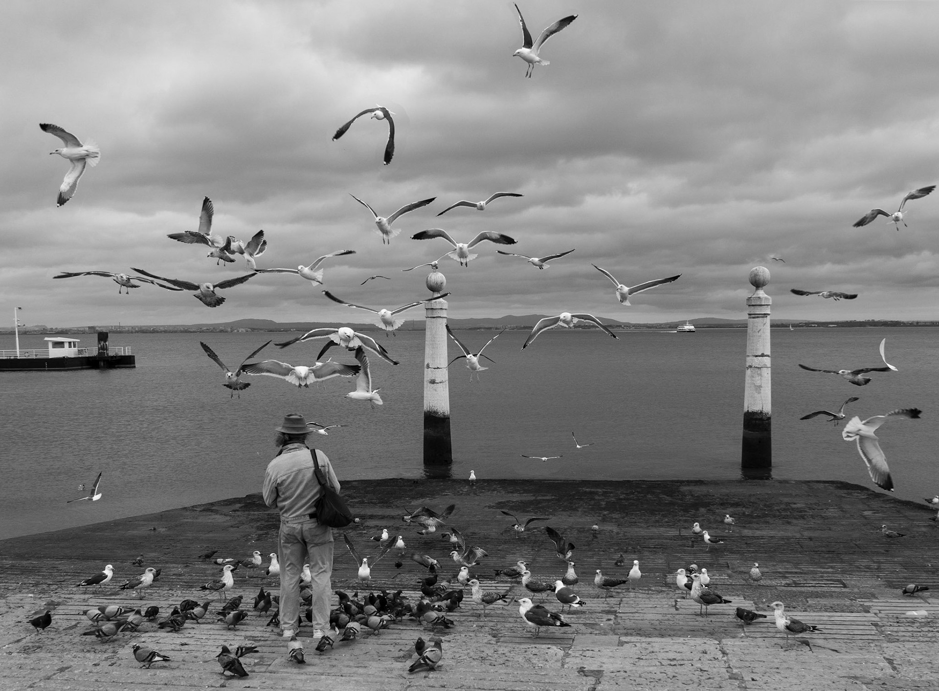 Taubenbändiger in Lissabon