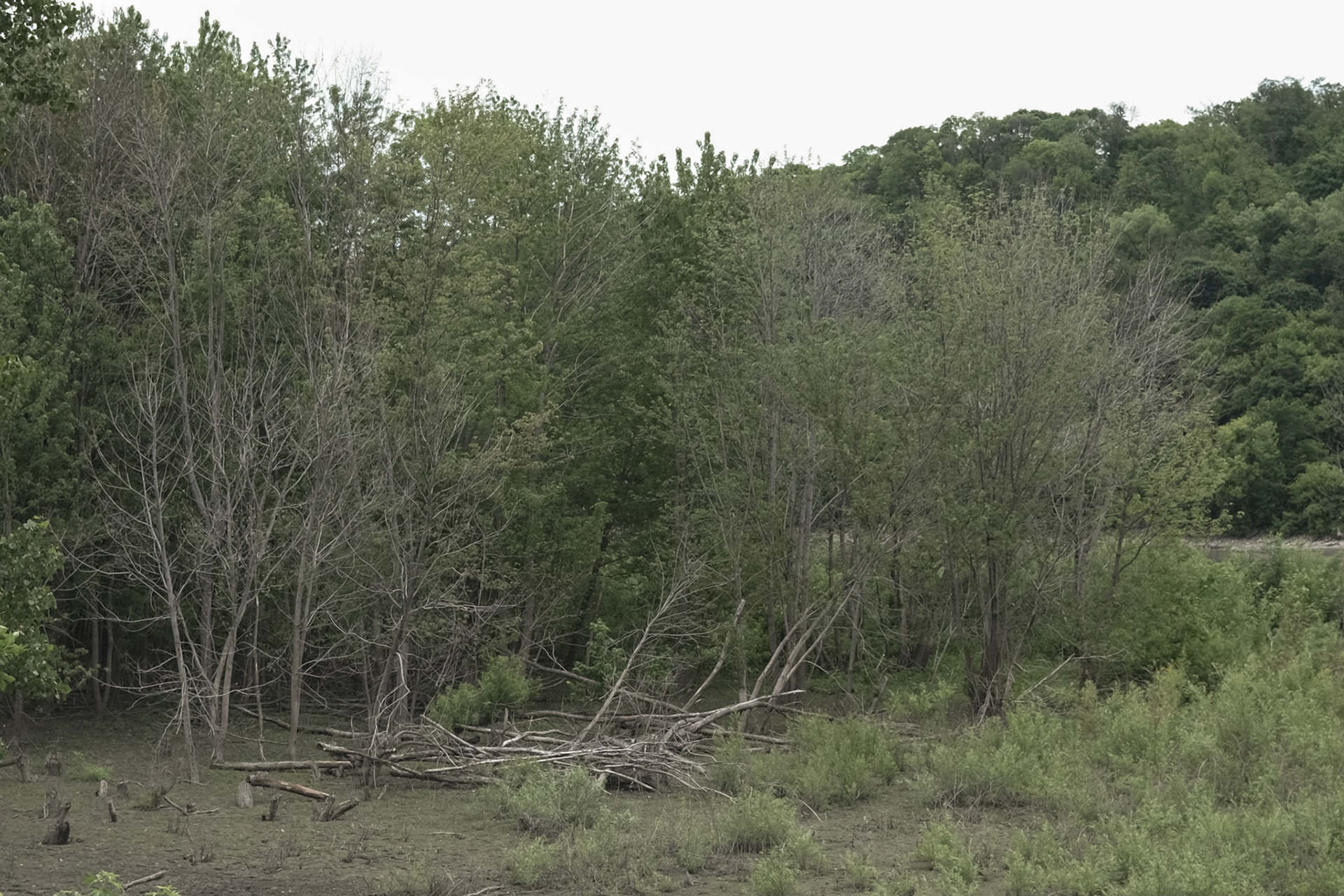 Mississippi National River Area, St. Paul, MN