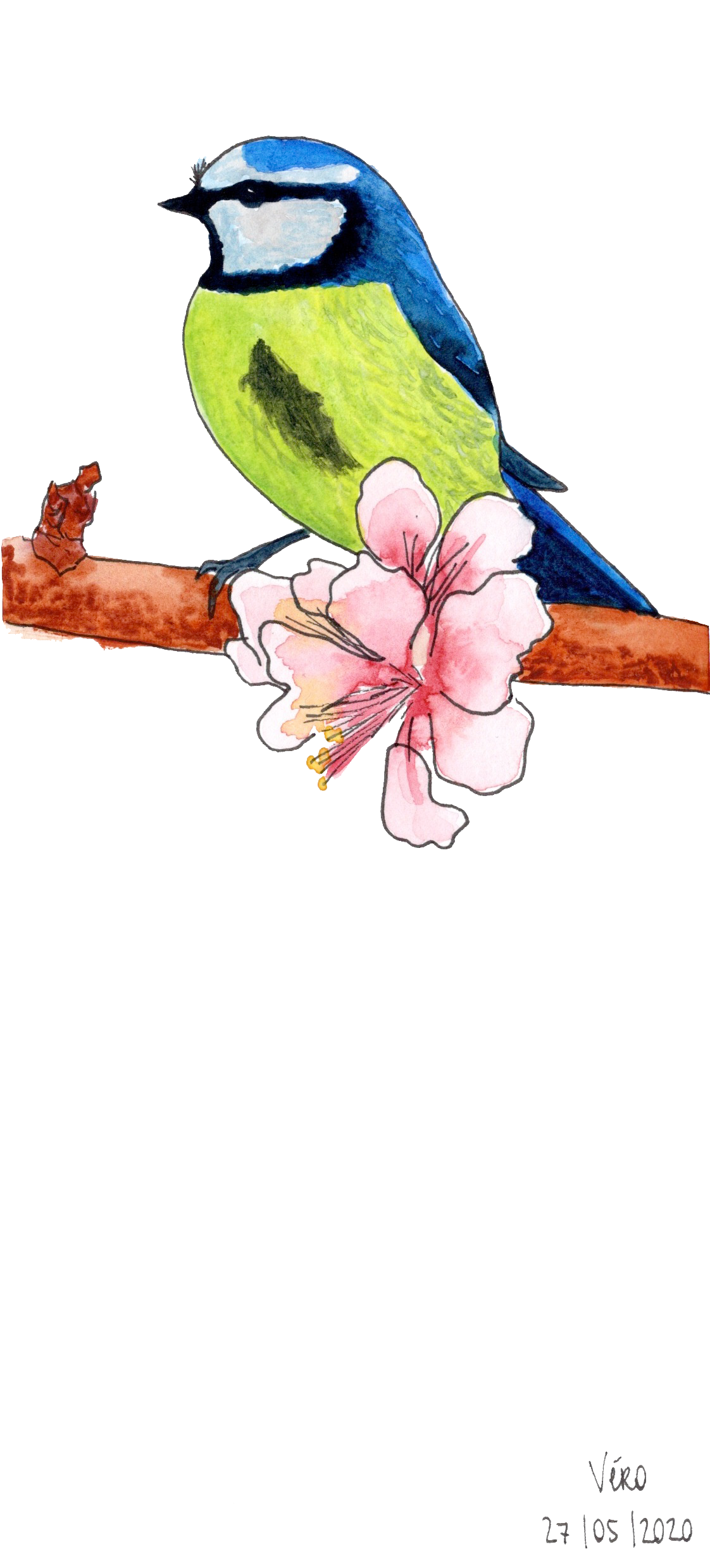 Little birdie #2