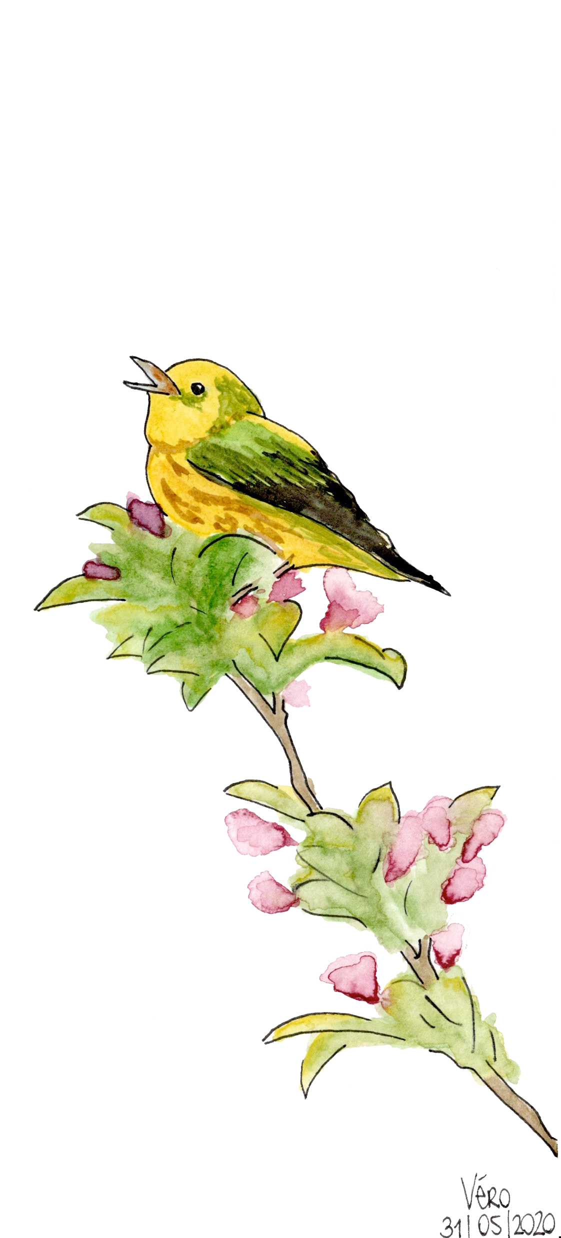 Little birdie #4