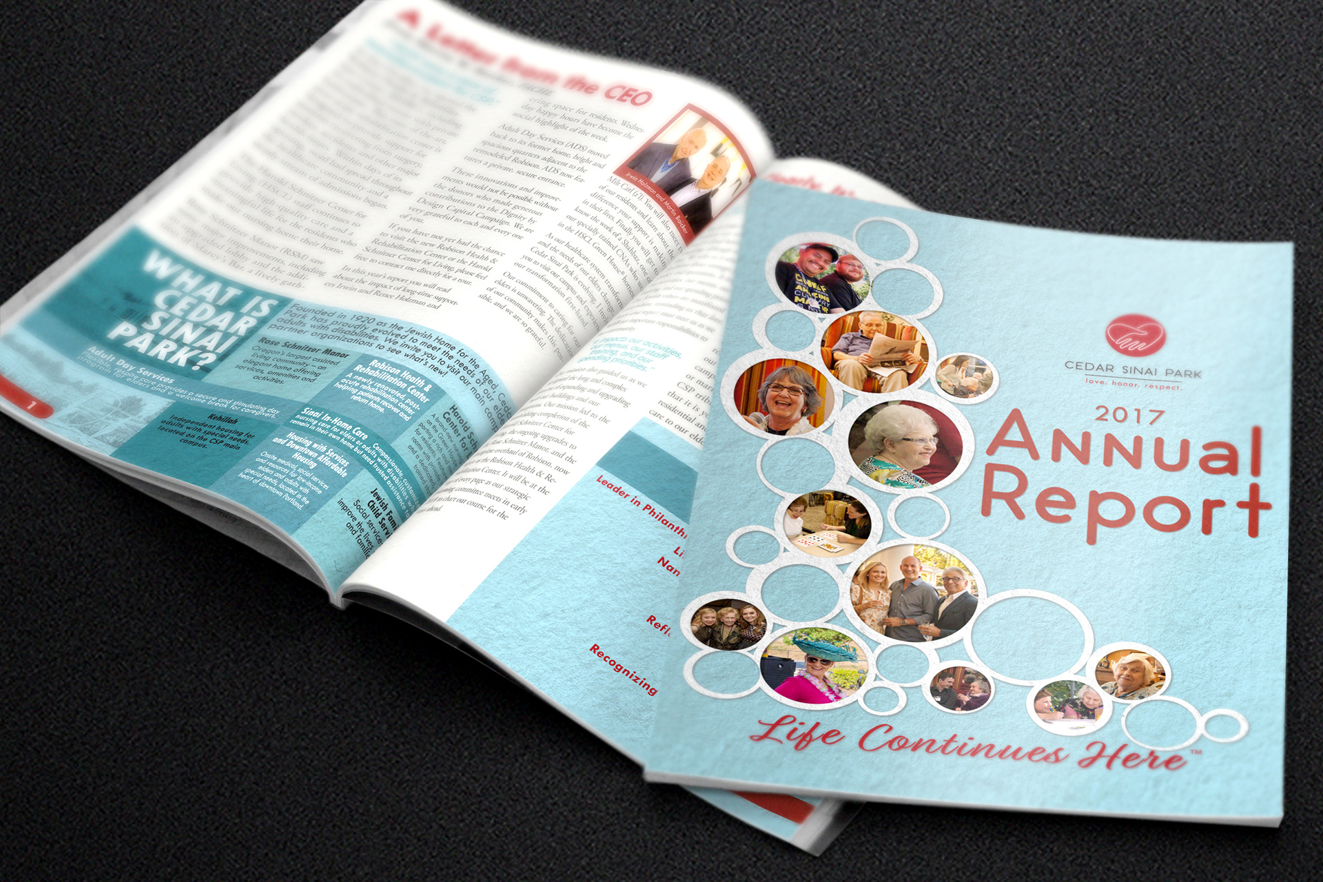 Cedar Sinai Park Annual Report - Cover