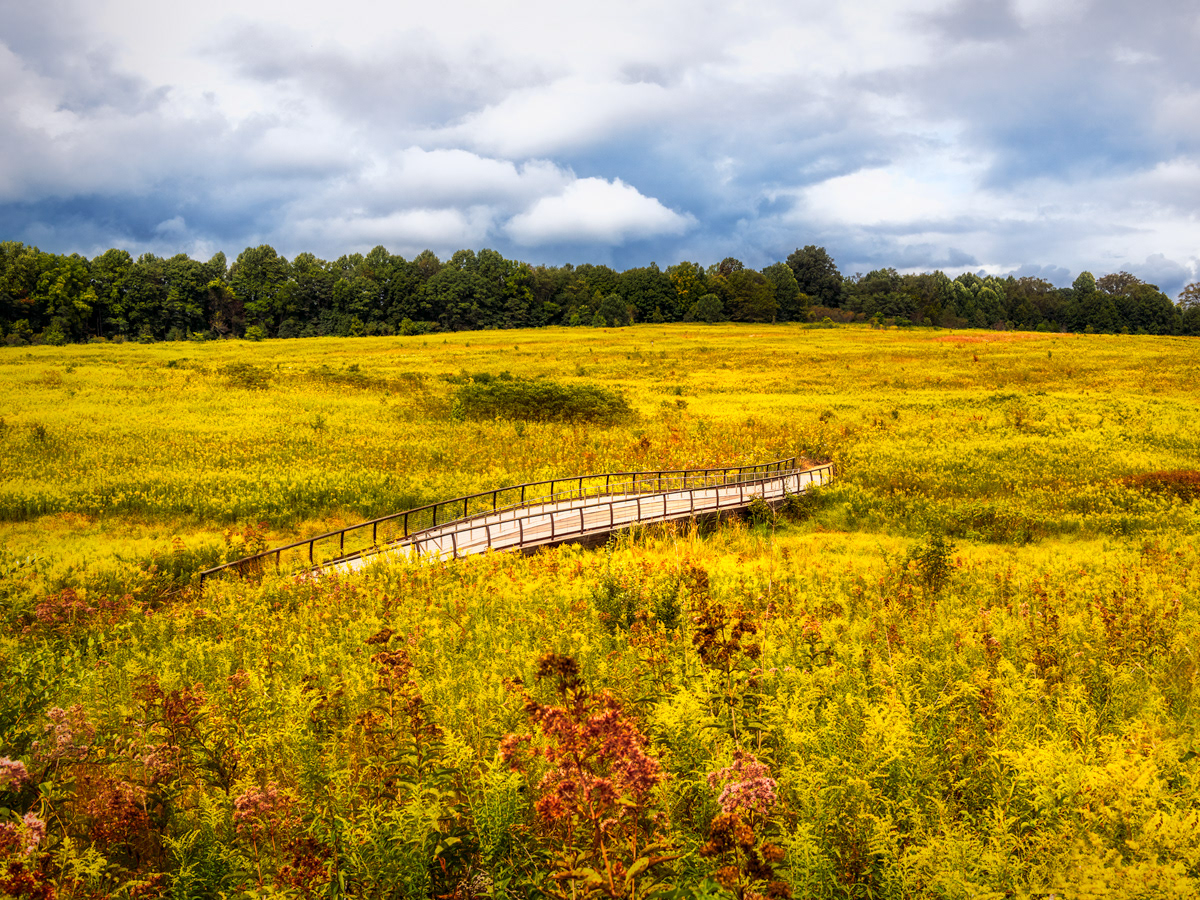 Longwood Gardens in Kennett Square, PA