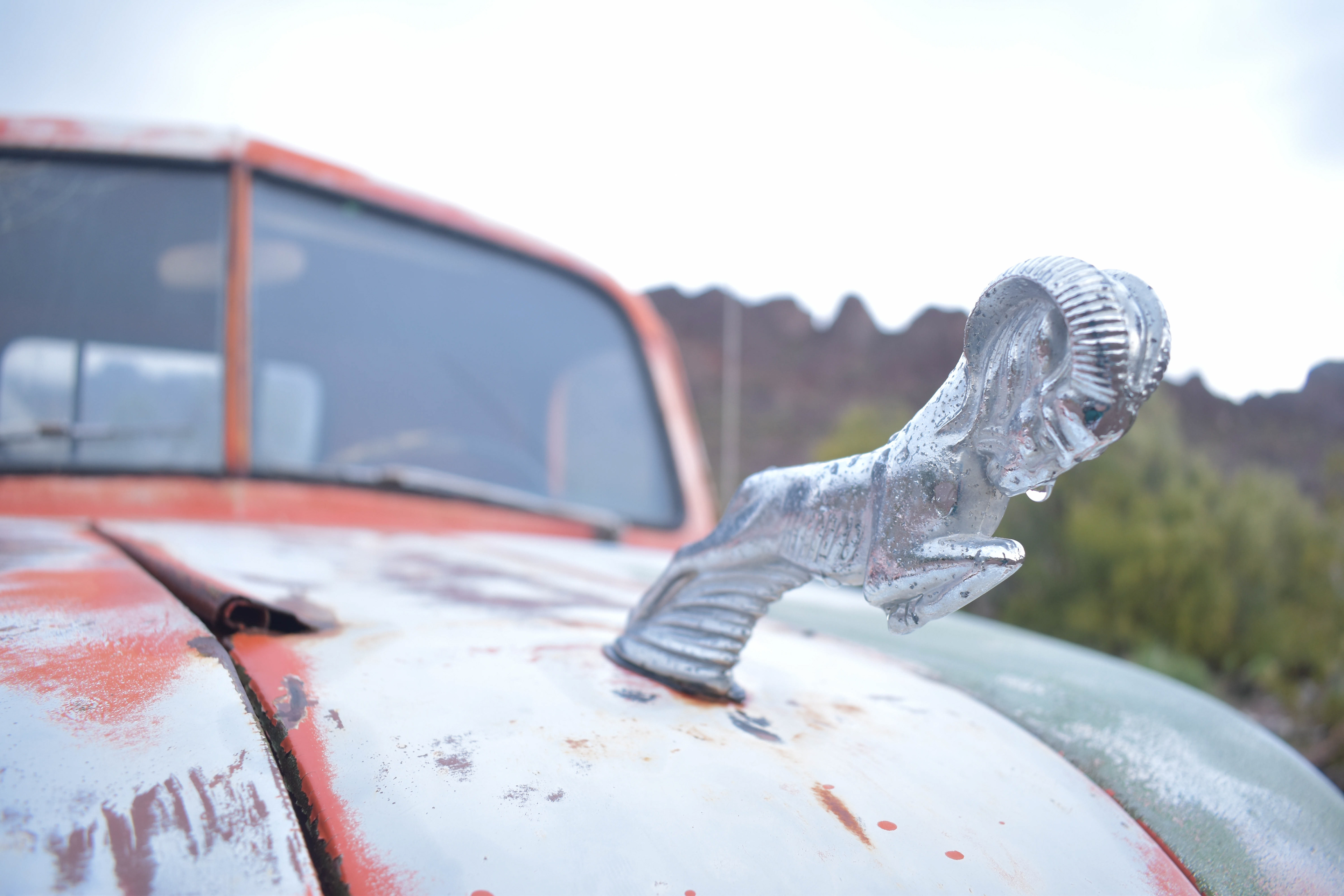 Rule of Thirds focus on the hood
