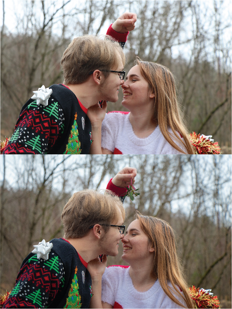 Missing prop! Added mistletoe to couple's portrait
