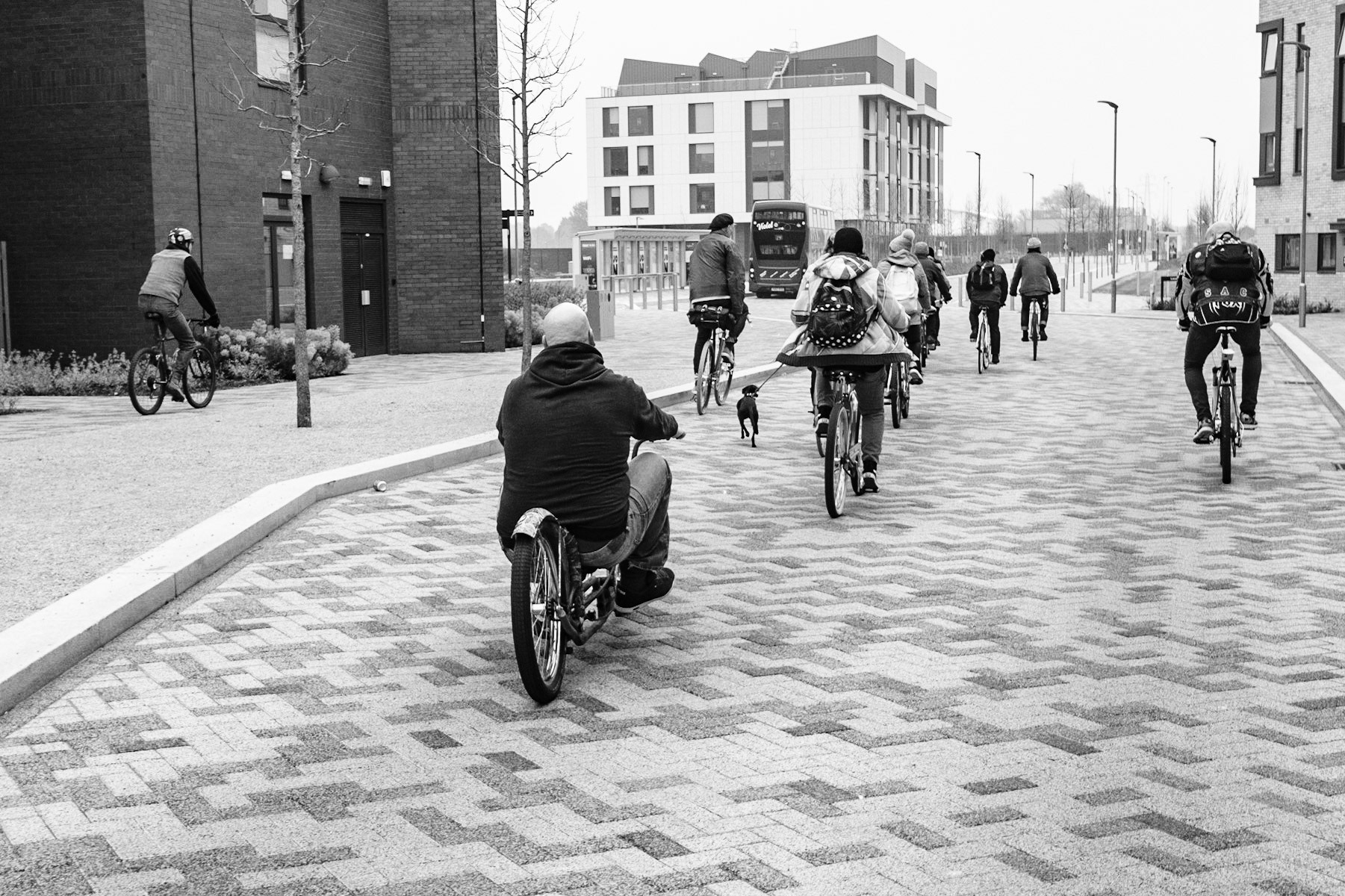 Coffee and Cobbles