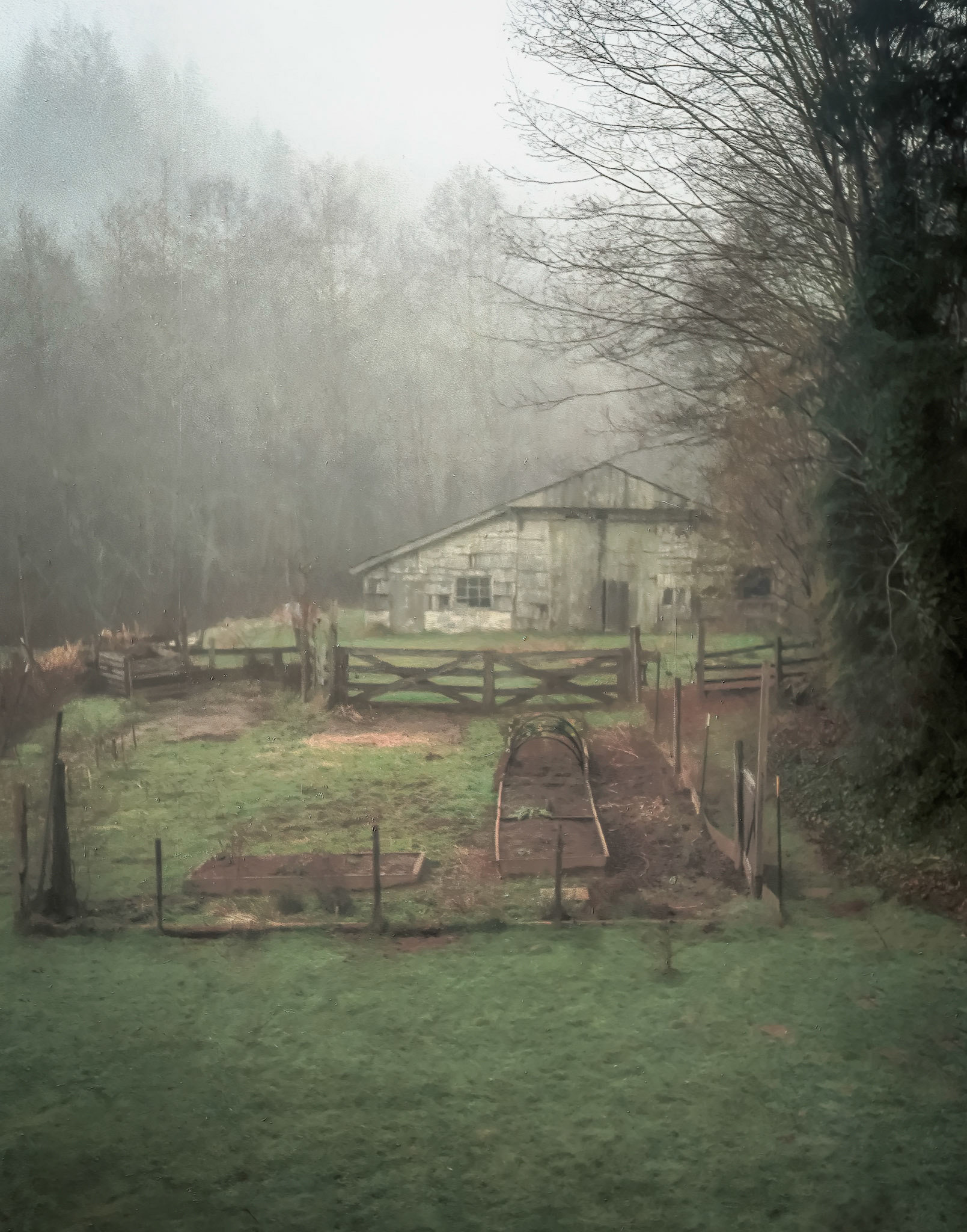 Foggy farm in Western Washington