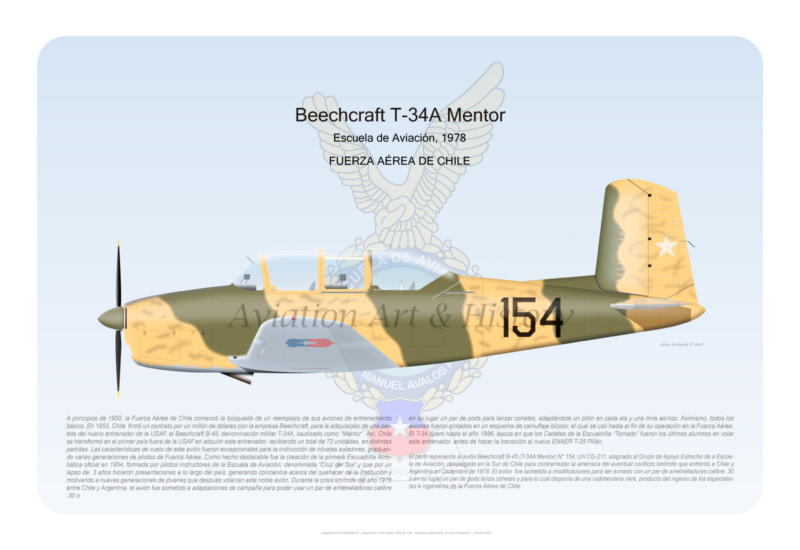 Julio Arrospide Beechcraft T 34 Mentor