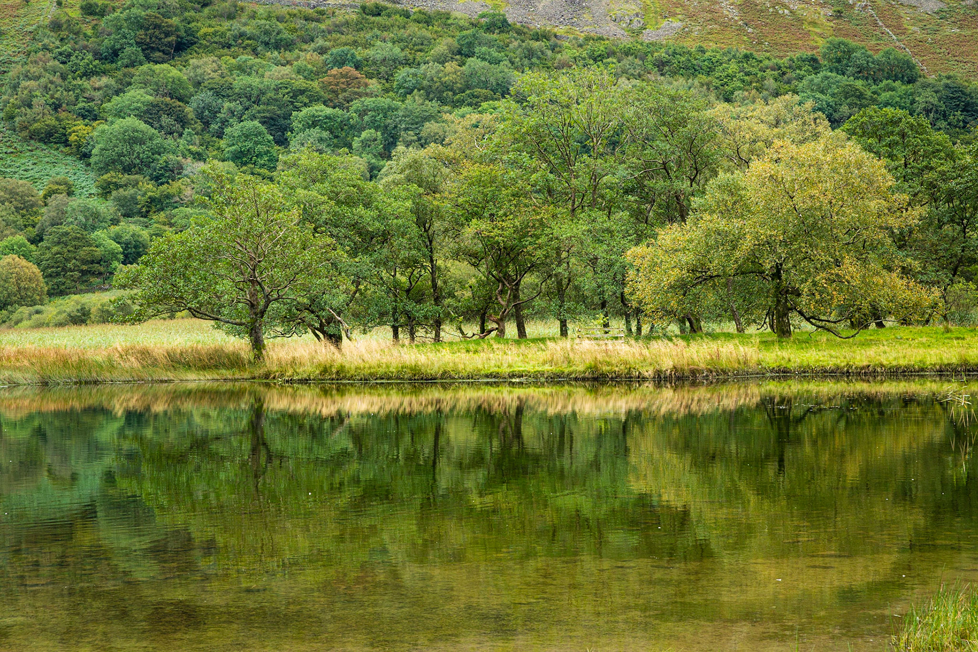 Brotherswater - Lake District