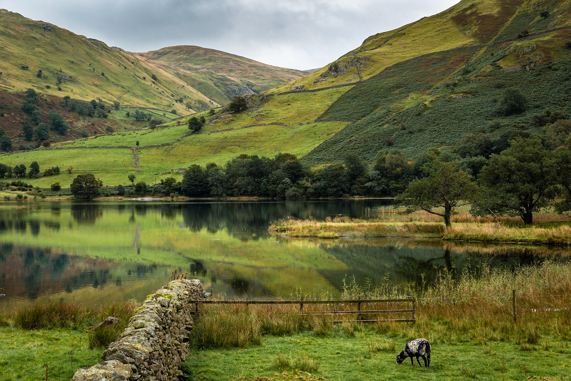 Brotherswater - Lake District
