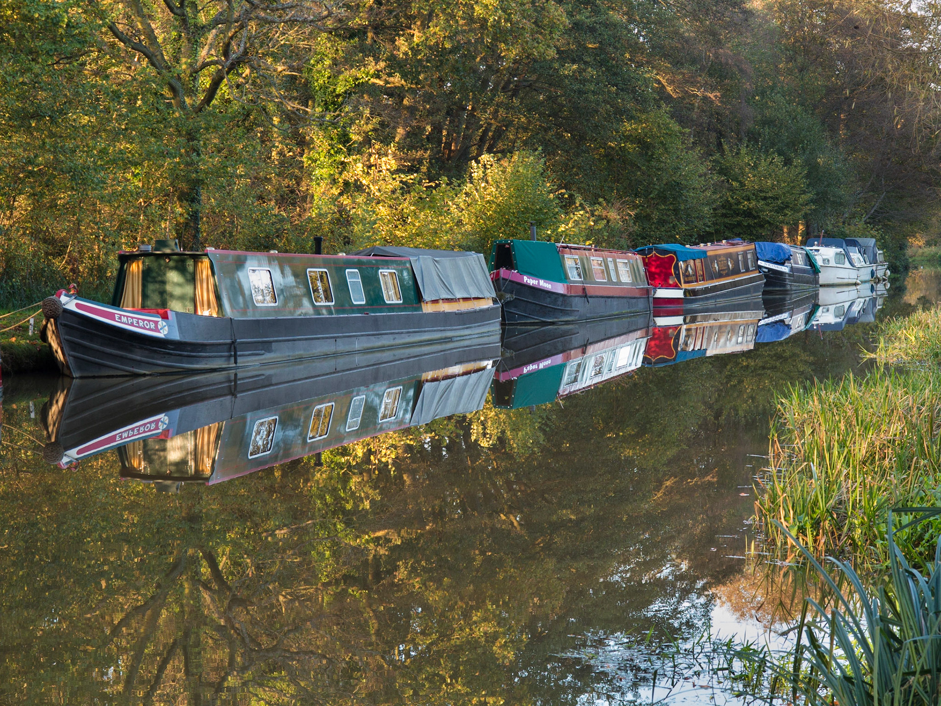 Autumn Lights on Wey Navigation